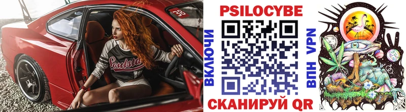 Купить где  Унеча  Галлюциногенные грибы Psilocybe 